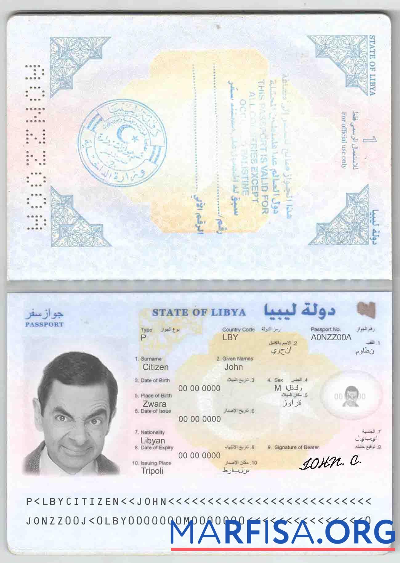 Downloadable Libya passport example